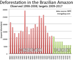 Deforestation In Brazil