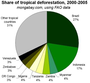 Tropical Forest Deforestation
